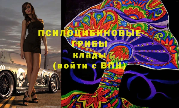 МДПВ Осинники