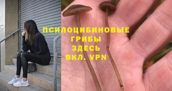 ALPHA-PVP Остров